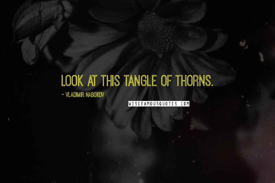 Vladimir Nabokov Quotes: Look at this tangle of thorns.