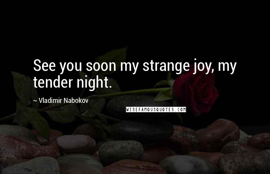 Vladimir Nabokov Quotes: See you soon my strange joy, my tender night.
