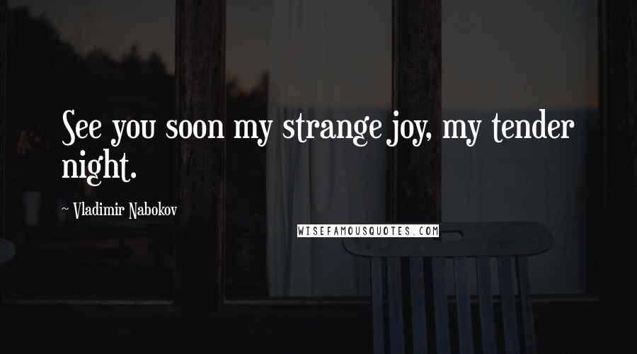 Vladimir Nabokov Quotes: See you soon my strange joy, my tender night.
