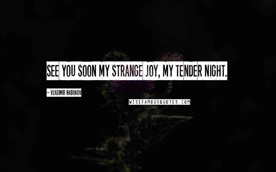 Vladimir Nabokov Quotes: See you soon my strange joy, my tender night.