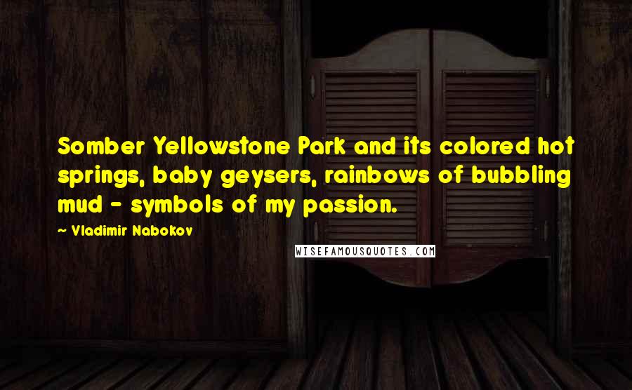 Vladimir Nabokov Quotes: Somber Yellowstone Park and its colored hot springs, baby geysers, rainbows of bubbling mud - symbols of my passion.