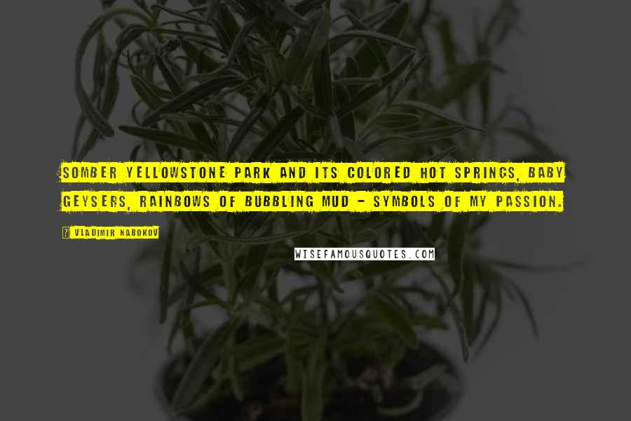 Vladimir Nabokov Quotes: Somber Yellowstone Park and its colored hot springs, baby geysers, rainbows of bubbling mud - symbols of my passion.