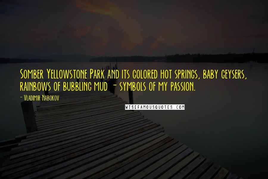 Vladimir Nabokov Quotes: Somber Yellowstone Park and its colored hot springs, baby geysers, rainbows of bubbling mud - symbols of my passion.