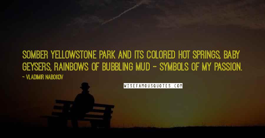 Vladimir Nabokov Quotes: Somber Yellowstone Park and its colored hot springs, baby geysers, rainbows of bubbling mud - symbols of my passion.