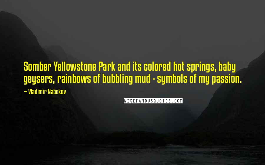 Vladimir Nabokov Quotes: Somber Yellowstone Park and its colored hot springs, baby geysers, rainbows of bubbling mud - symbols of my passion.
