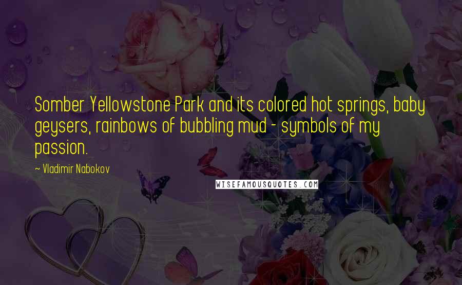 Vladimir Nabokov Quotes: Somber Yellowstone Park and its colored hot springs, baby geysers, rainbows of bubbling mud - symbols of my passion.