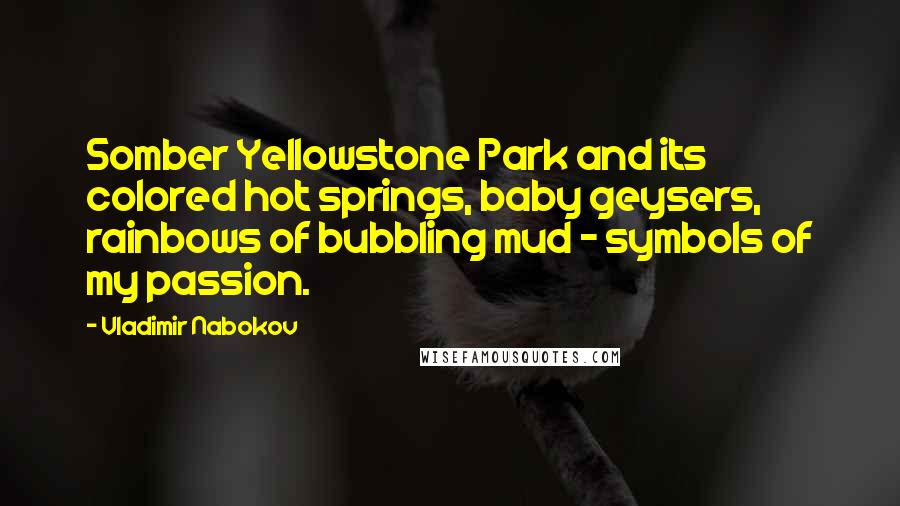 Vladimir Nabokov Quotes: Somber Yellowstone Park and its colored hot springs, baby geysers, rainbows of bubbling mud - symbols of my passion.