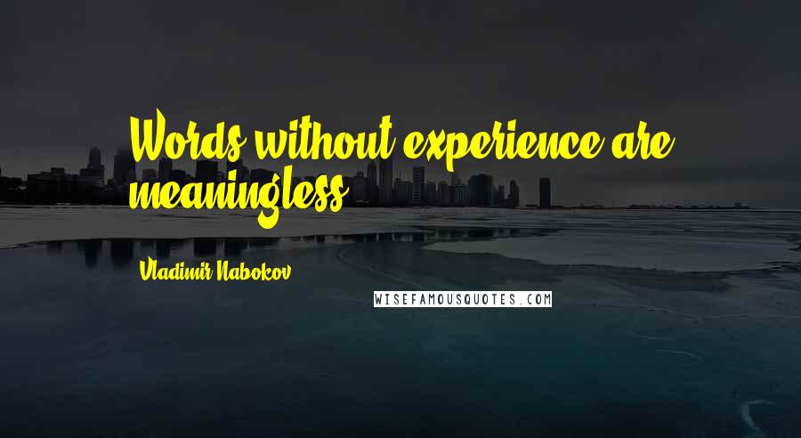 Vladimir Nabokov Quotes: Words without experience are meaningless.