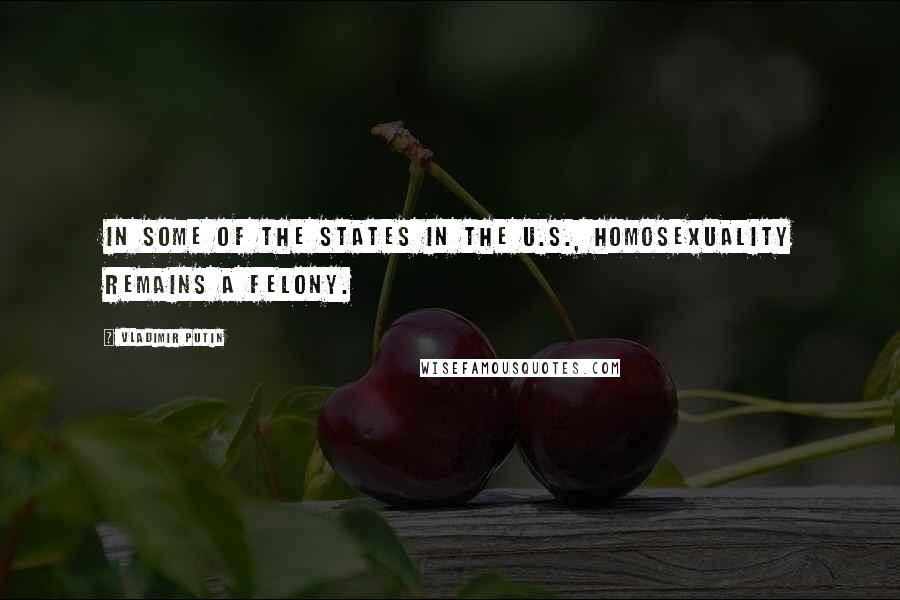 Vladimir Putin Quotes: In some of the states in the U.S., homosexuality remains a felony.