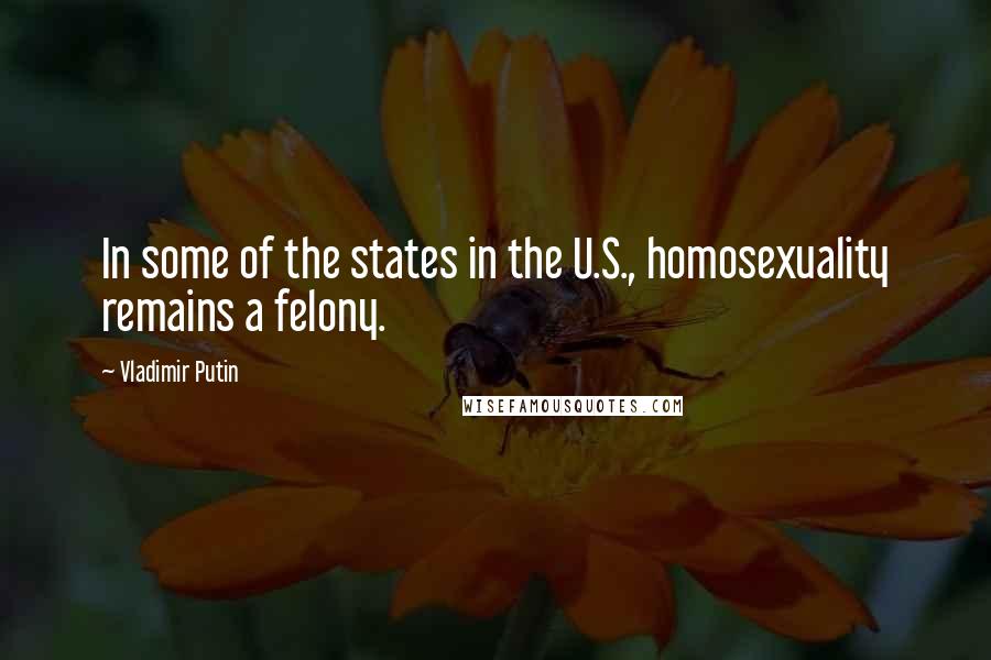 Vladimir Putin Quotes: In some of the states in the U.S., homosexuality remains a felony.