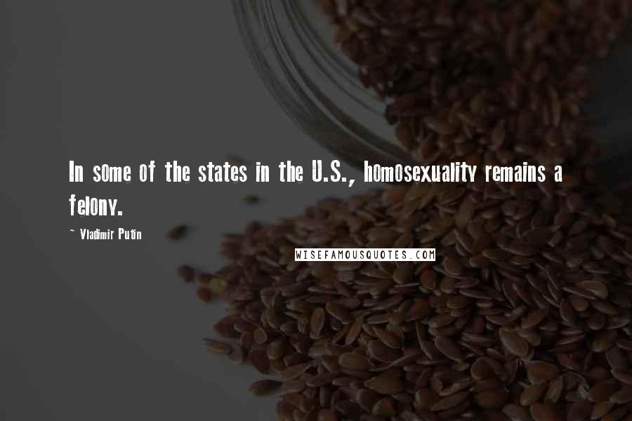 Vladimir Putin Quotes: In some of the states in the U.S., homosexuality remains a felony.