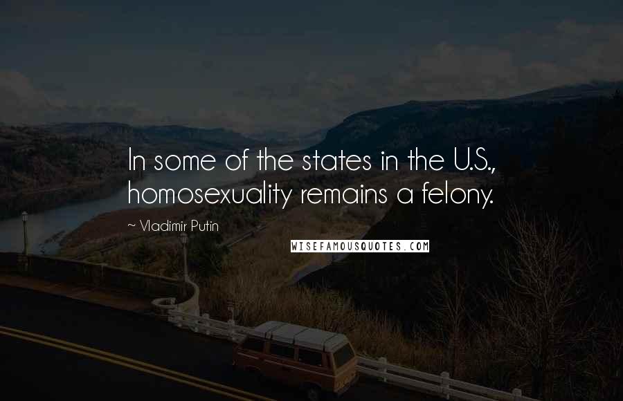 Vladimir Putin Quotes: In some of the states in the U.S., homosexuality remains a felony.