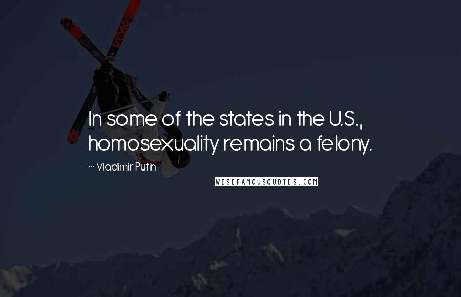 Vladimir Putin Quotes: In some of the states in the U.S., homosexuality remains a felony.