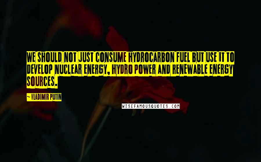 Vladimir Putin Quotes: We should not just consume hydrocarbon fuel but use it to develop nuclear energy, hydro power and renewable energy sources.