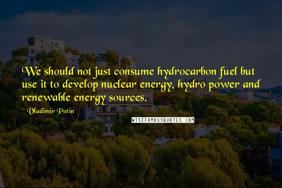 Vladimir Putin Quotes: We should not just consume hydrocarbon fuel but use it to develop nuclear energy, hydro power and renewable energy sources.