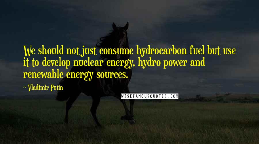 Vladimir Putin Quotes: We should not just consume hydrocarbon fuel but use it to develop nuclear energy, hydro power and renewable energy sources.