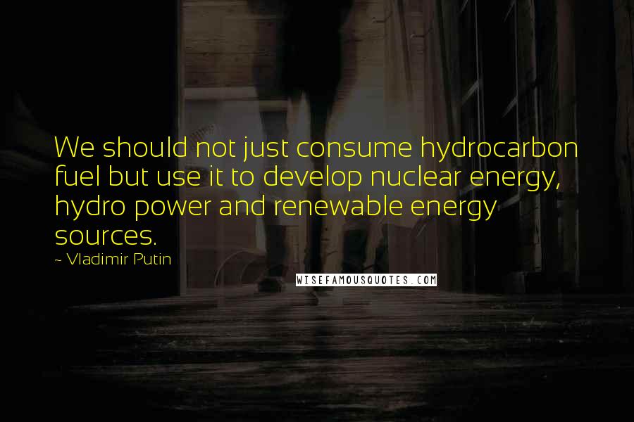 Vladimir Putin Quotes: We should not just consume hydrocarbon fuel but use it to develop nuclear energy, hydro power and renewable energy sources.