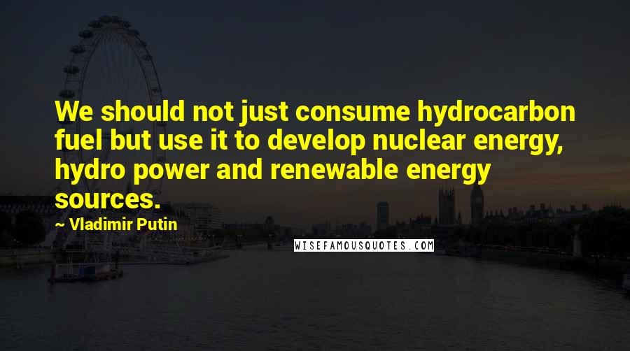 Vladimir Putin Quotes: We should not just consume hydrocarbon fuel but use it to develop nuclear energy, hydro power and renewable energy sources.