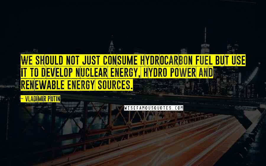 Vladimir Putin Quotes: We should not just consume hydrocarbon fuel but use it to develop nuclear energy, hydro power and renewable energy sources.