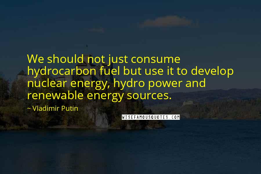 Vladimir Putin Quotes: We should not just consume hydrocarbon fuel but use it to develop nuclear energy, hydro power and renewable energy sources.