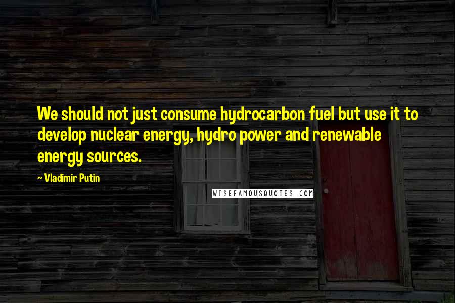 Vladimir Putin Quotes: We should not just consume hydrocarbon fuel but use it to develop nuclear energy, hydro power and renewable energy sources.