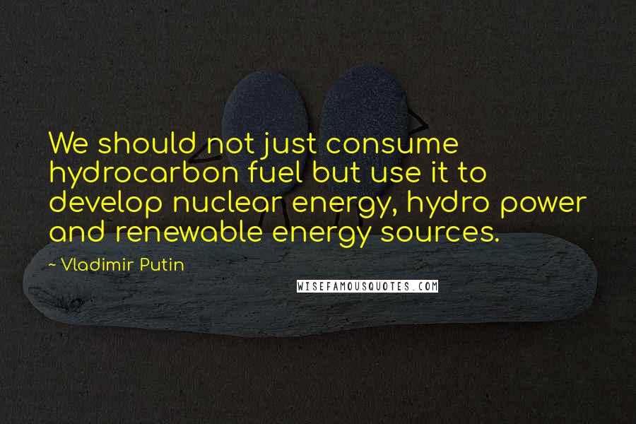 Vladimir Putin Quotes: We should not just consume hydrocarbon fuel but use it to develop nuclear energy, hydro power and renewable energy sources.