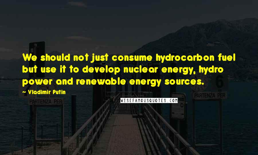 Vladimir Putin Quotes: We should not just consume hydrocarbon fuel but use it to develop nuclear energy, hydro power and renewable energy sources.