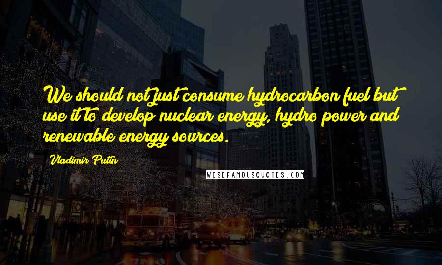 Vladimir Putin Quotes: We should not just consume hydrocarbon fuel but use it to develop nuclear energy, hydro power and renewable energy sources.