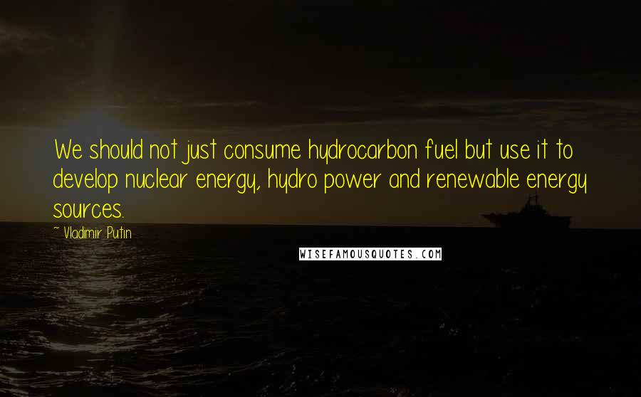 Vladimir Putin Quotes: We should not just consume hydrocarbon fuel but use it to develop nuclear energy, hydro power and renewable energy sources.