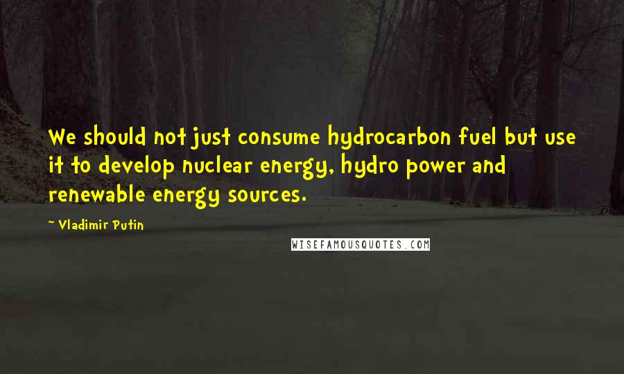 Vladimir Putin Quotes: We should not just consume hydrocarbon fuel but use it to develop nuclear energy, hydro power and renewable energy sources.