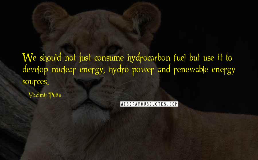 Vladimir Putin Quotes: We should not just consume hydrocarbon fuel but use it to develop nuclear energy, hydro power and renewable energy sources.