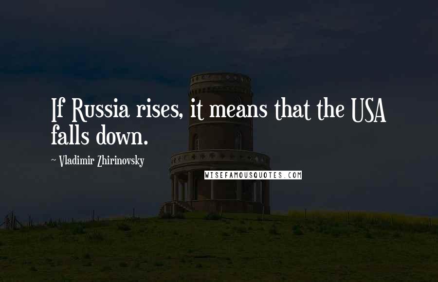 Vladimir Zhirinovsky Quotes: If Russia rises, it means that the USA falls down.
