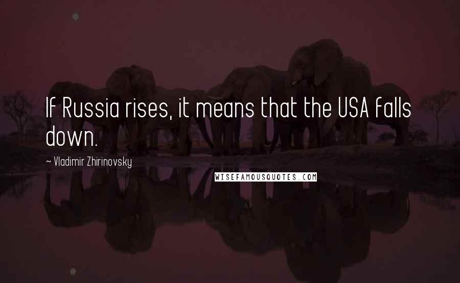 Vladimir Zhirinovsky Quotes: If Russia rises, it means that the USA falls down.
