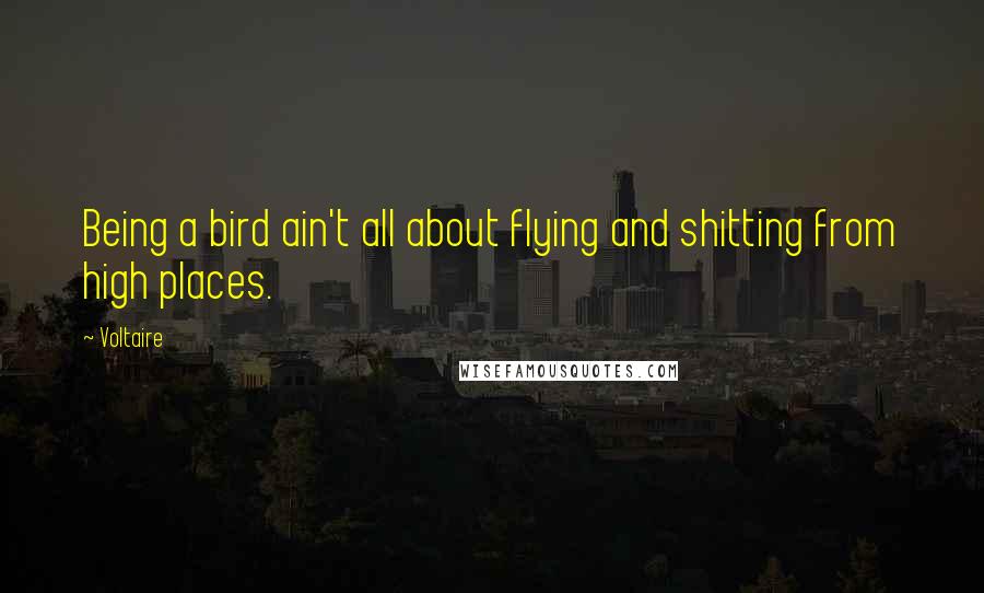 Voltaire Quotes: Being a bird ain't all about flying and shitting from high places.