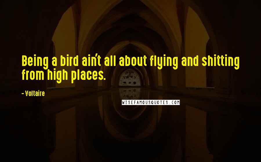 Voltaire Quotes: Being a bird ain't all about flying and shitting from high places.
