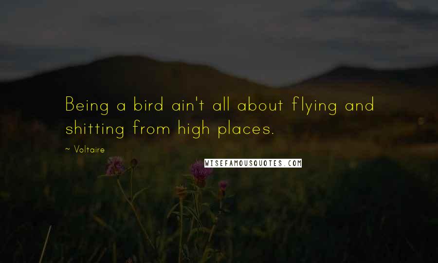 Voltaire Quotes: Being a bird ain't all about flying and shitting from high places.