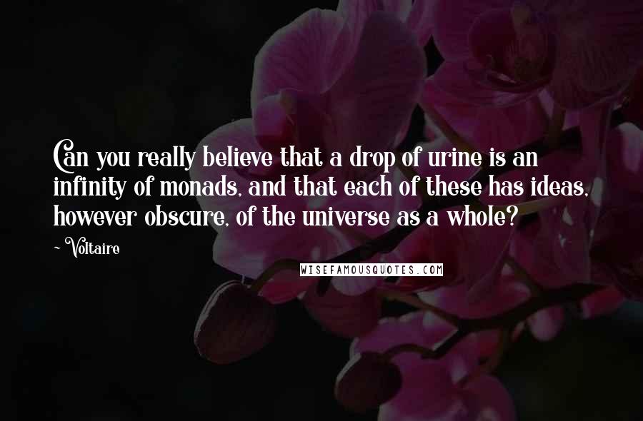 Voltaire Quotes: Can you really believe that a drop of urine is an infinity of monads, and that each of these has ideas, however obscure, of the universe as a whole?