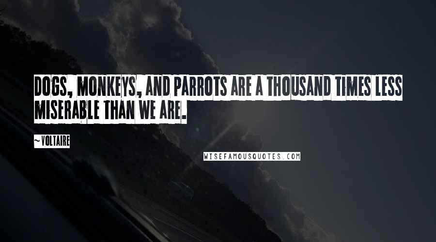 Voltaire Quotes: Dogs, monkeys, and parrots are a thousand times less miserable than we are.