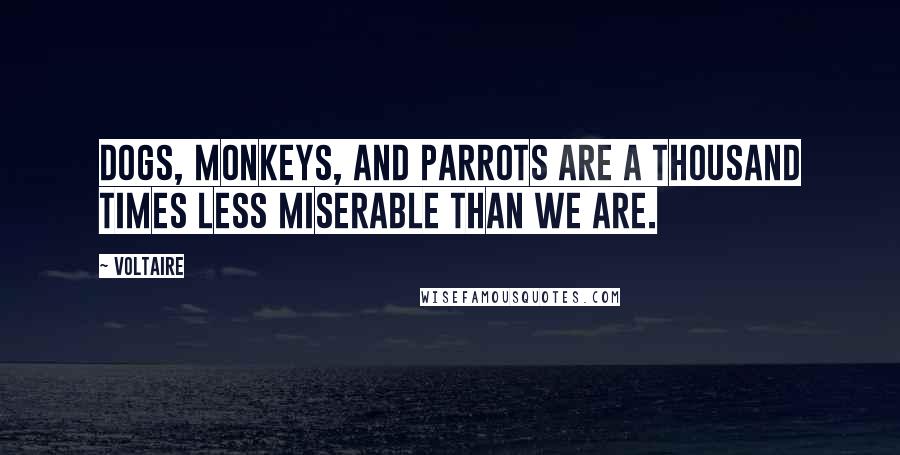 Voltaire Quotes: Dogs, monkeys, and parrots are a thousand times less miserable than we are.