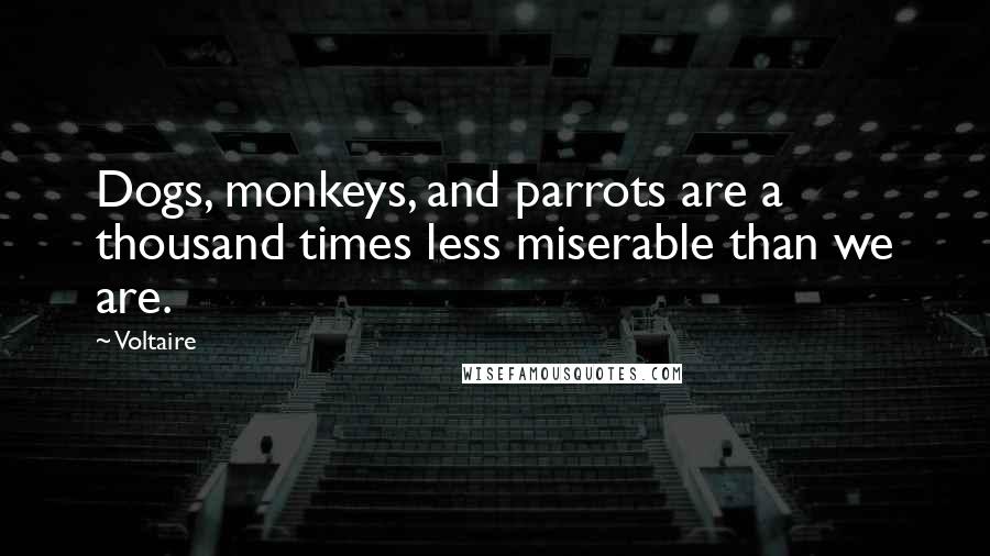 Voltaire Quotes: Dogs, monkeys, and parrots are a thousand times less miserable than we are.