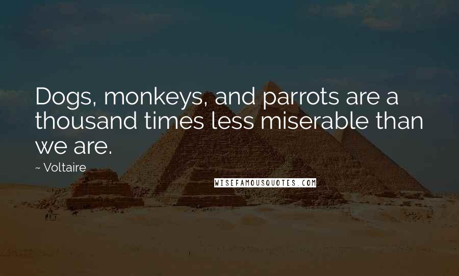 Voltaire Quotes: Dogs, monkeys, and parrots are a thousand times less miserable than we are.