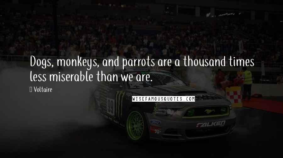 Voltaire Quotes: Dogs, monkeys, and parrots are a thousand times less miserable than we are.