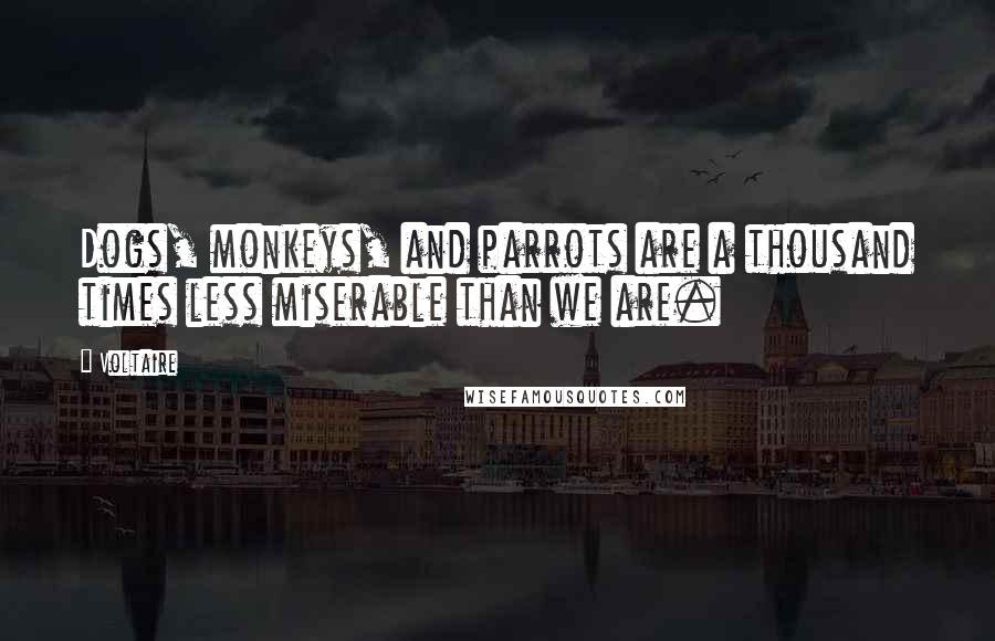 Voltaire Quotes: Dogs, monkeys, and parrots are a thousand times less miserable than we are.