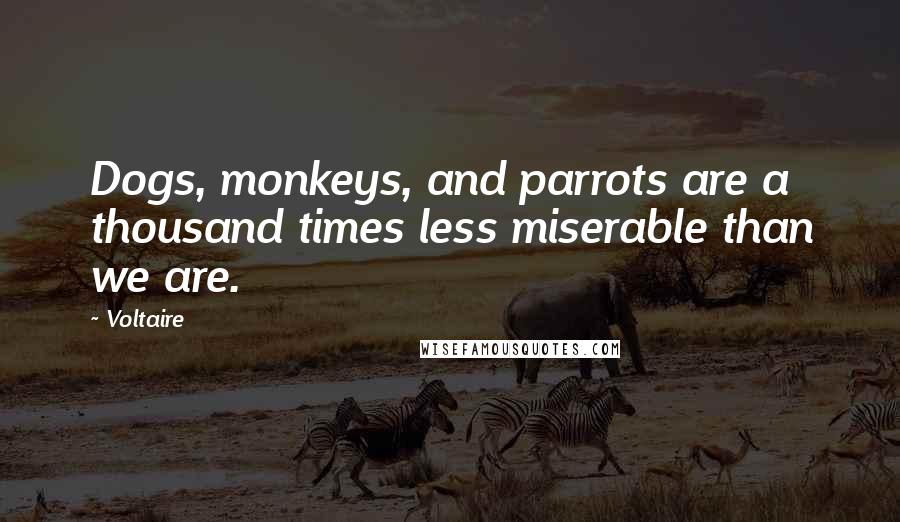 Voltaire Quotes: Dogs, monkeys, and parrots are a thousand times less miserable than we are.