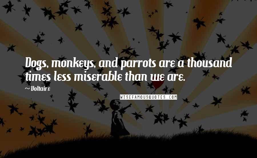 Voltaire Quotes: Dogs, monkeys, and parrots are a thousand times less miserable than we are.