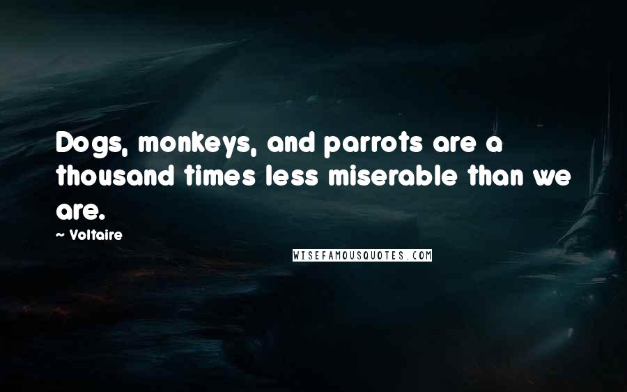 Voltaire Quotes: Dogs, monkeys, and parrots are a thousand times less miserable than we are.