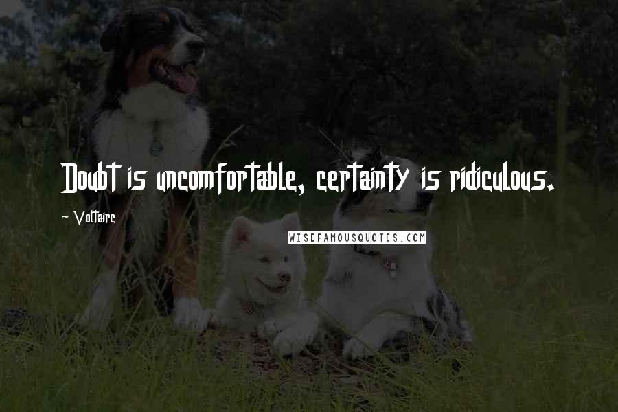 Voltaire Quotes: Doubt is uncomfortable, certainty is ridiculous.