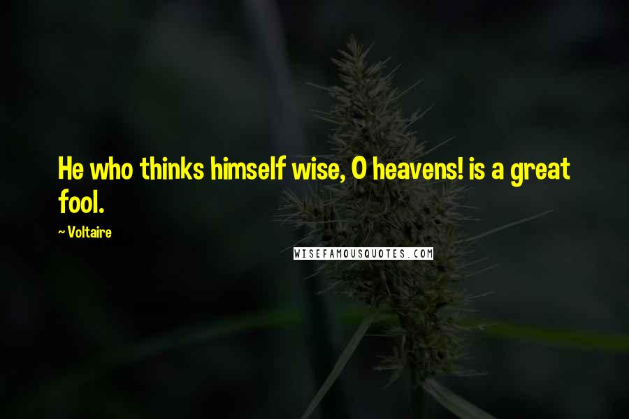 Voltaire Quotes: He who thinks himself wise, O heavens! is a great fool.