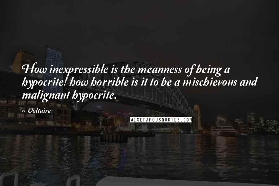 Voltaire Quotes: How inexpressible is the meanness of being a hypocrite! how horrible is it to be a mischievous and malignant hypocrite.