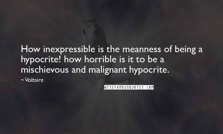 Voltaire Quotes: How inexpressible is the meanness of being a hypocrite! how horrible is it to be a mischievous and malignant hypocrite.